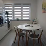 Plesa Appartement