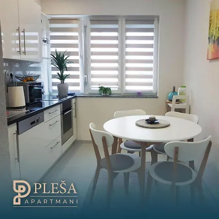 Apartament Plesa