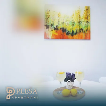 Apartament Plesa Bihać