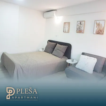 Plesa Apartment