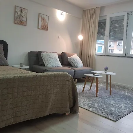 Apartment Plesa *