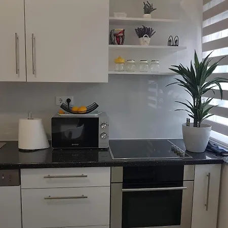 Plesa Apartment *
